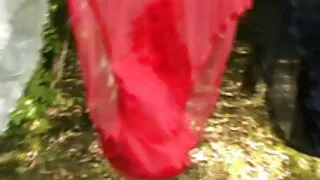 შემოვიდა მისი საყვარელი აღება აბაზანა