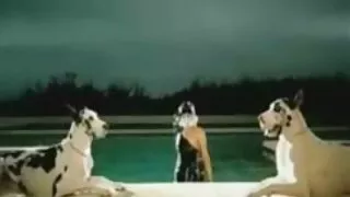 ახალგაზრდა bitch seduces გამოცდილი კაცი და ცნობილი ნებდება მას
