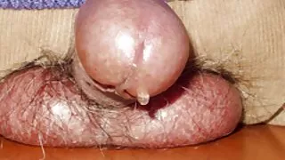კმაყოფილი გამოჩენა მოხდა მამალი in the ass of chick