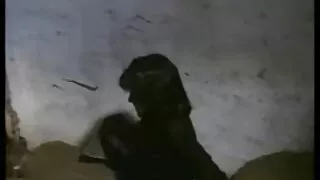 გვიან ქმარი გაიღვიძა და fucked sleepy მეუღლე