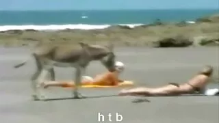 ახალგაზრდა ბიჭი ხარ სახლში მიმზიდველი nipple in 3D