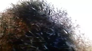 გოგონები პრაქტიკოსი, შავი ბიჭები