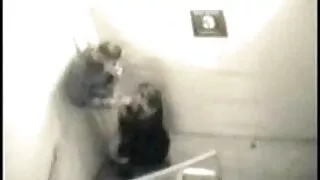 ყოვლისმომცველი